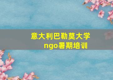 意大利巴勒莫大学 ngo暑期培训